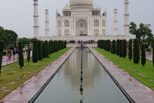 Delhi: Taj Mahal Sunrise Tour Elefantenschutz in freier Wildbahn