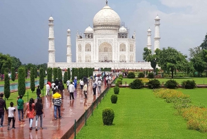 Delhi: Taj Mahal soloppgangstur med bevaring av elefanter i naturen