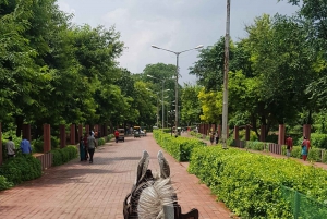 Delhi: Taj Mahal Sunrise Tour wildlife Elephant Conservation