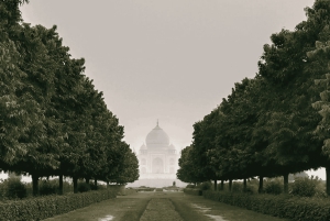 Delhi: Taj Mahal Surise Tour med lunch på 5-stjärnigt hotell