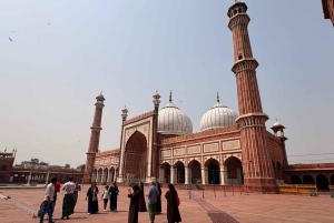 Delhi Temples and Spiritual Sites Tour with Light sound Show