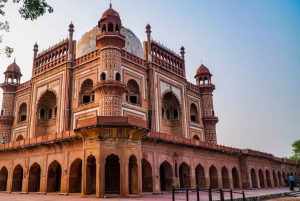 Delhi: Tempeltour mit Auto und privatem Tourguide