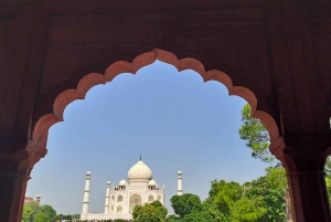 From Delhi: Sunrise Taj Mahal & Agra Day Trip With 5* Lunch