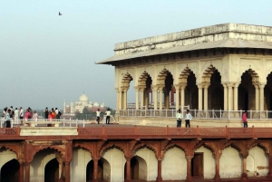 Delhi til Agra kun envejstransport