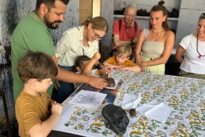 De Deli a Jaipur: passeio privado de um dia com guia local