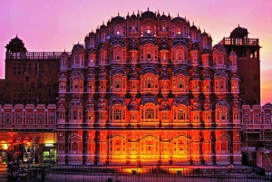 Delhi to Jaipur Tour - 1 dia - De Delhi