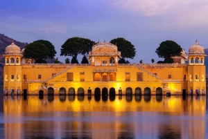 Delhi naar Jaipur Tour - 1 Dag - Van Delhi