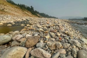 De Deli a Nainital e Jim Corbet: excursão de 5 dias pela natureza e vida selvagem