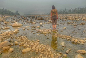 De Deli a Nainital e Jim Corbet: excursão de 5 dias pela natureza e vida selvagem