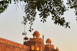 Delhi a Taj Mahal y fuerte + almuerzo y fotógrafo