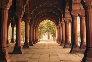 Delhi a Taj Mahal y fuerte + almuerzo y fotógrafo
