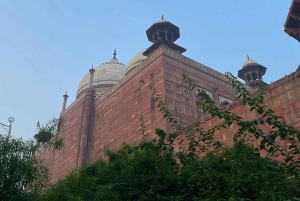 Delhi a Taj Mahal y fuerte + almuerzo y fotógrafo