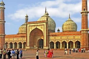 Delhi: Tuk Tuk Tour met Jama Moskee, Lotus Tempel, Indiase Poort