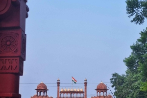 Delhi: Vegetarian Street Food Walking Tour