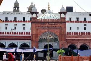 Delhi: Vegetarian Street Food Walking Tour