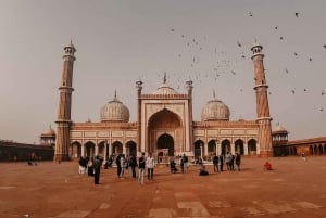 Delhi : visite d'une jounée à pied et en voiture avec guide