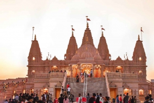 Vanha Delhi: Yksityinen puolen päivän opastettu kaupunkikierros