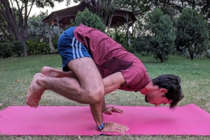 Delhi: Joga w ogrodzie Lodhi