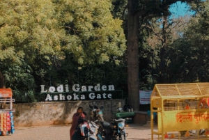 Delhi: Yoga im Lodhi-Garten