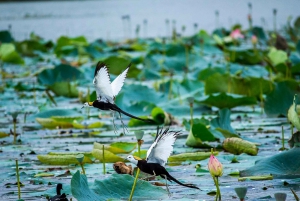 Ontdek de Birding-hemel in Sultanpur op een dag vanuit Delhi