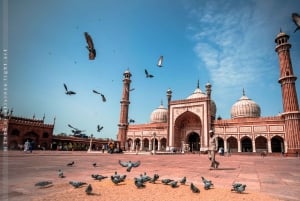 Entdecke Delhi an einem Tag: Private Tour mit Komfort und Stil
