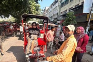 Découvrez l'ancienne et la nouvelle Delhi : visite guidée d'une journée ou d'une demi-journée