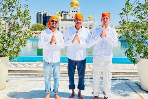 Discover Old & New Delhi: Private Tour with Street Food