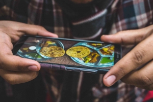 Mangia come un abitante del posto: Tour gastronomico di Chandni Chowk e tour a piedi