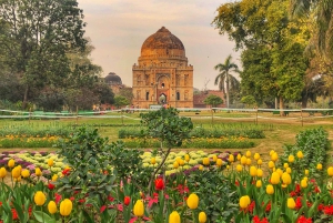 Delhi: Eksklusiv privat sightseeingtur i Delhi om kvelden