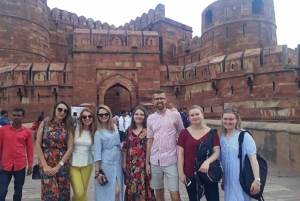 Explorez Agra, Ranthambore et Sariska : Aventure de 3 jours