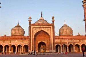 Udforsk Chandni Chowk: Old Delhi Privat Tuk Tuk & Madtur