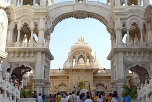 Explore Prem Mandir : Mathura Vrindavan Tour