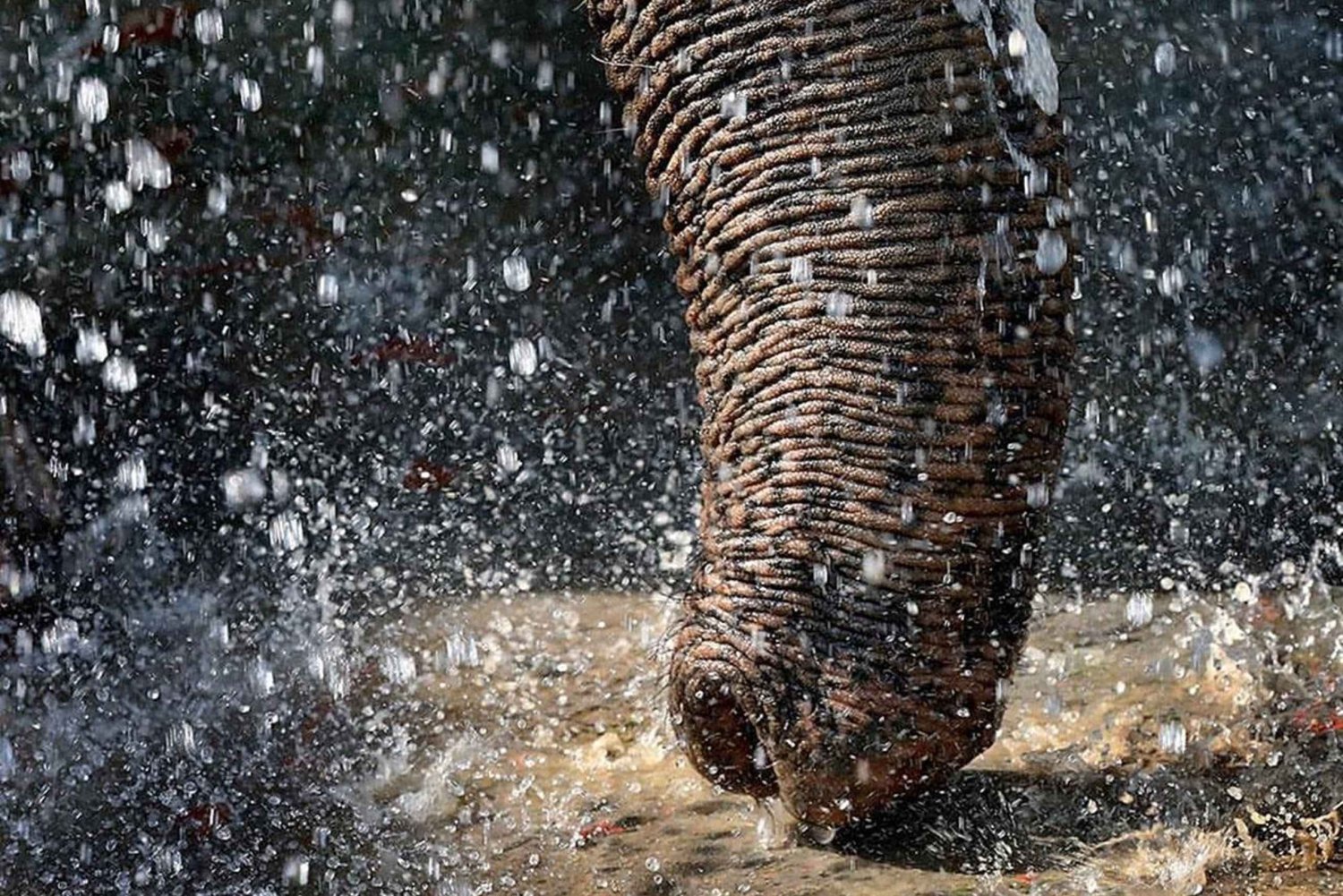 Explorez le Taj Mahal, le sanctuaire SOS et Fatehpur Sikri : 2 jours