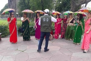 Découvrez Taj, Red Fort, Fatehpur Sikri et SOS Tour en 2 jours