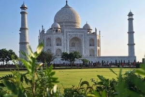 Découvrez Taj, Red Fort, Fatehpur Sikri et SOS Tour en 2 jours