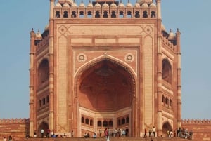 Découvrez Taj, Red Fort, Fatehpur Sikri et SOS Tour en 2 jours