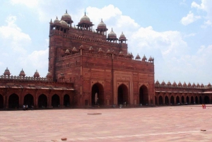 Découvrez Taj, Red Fort, Fatehpur Sikri et SOS Tour en 2 jours