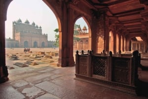 Découvrez Taj, Red Fort, Fatehpur Sikri et SOS Tour en 2 jours