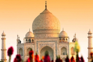 Fra Aerocity: Agra-tur med Taj Mahal Surnise og Agra Fort