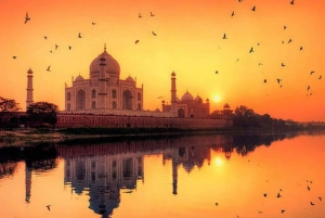 Von Delhi aus: Same Day Agra-Tour von Delhi aus mit dem Supefast-Zug