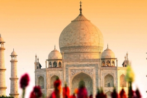 Von Delhi aus: Same Day Agra-Tour von Delhi aus mit dem Supefast-Zug
