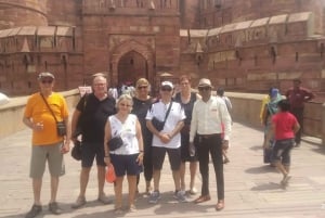 Vanuit Delhi: Zonsopgang Taj Mahal, Agra Fort, Baby Taj en Lunch