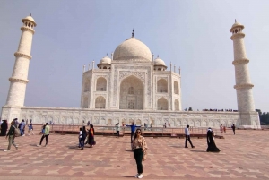 Da Aerocity: Tour dell'alba del Taj Mahal e del Tempio di Lord Shiva