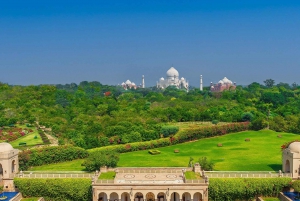 Desde Aerocity: Excursión al Amanecer del Taj Mahal y al Templo del Señor Shiva