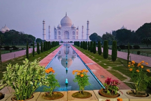 Из Агры: однодневная экскурсия по Тадж-Махалу и городу по системе «все включено»