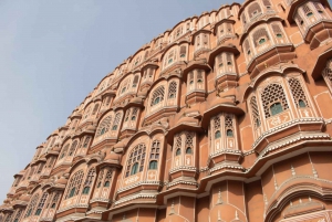 Depuis Agra : Visite privée de Jaipur en voiture avec possibilité de retour à Delhi