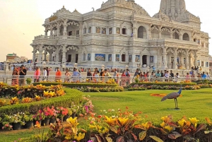 Depuis Agra : Visite touristique d'une journée à Mathura et Vrindavan