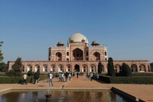 Da Agra: Tour di Delhi in giornata con auto AC