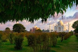 Fra Bangalore: Taj Mahal og Agra privat guidet tur