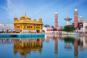 Da Delhi: Tour privato dell'Himachal di 11 giorni con Amritsar